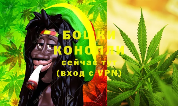 бошки Аркадак