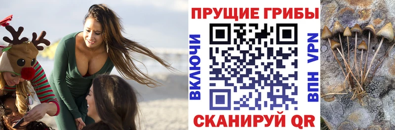 Псилоцибиновые грибы ЛСД Ишимбай